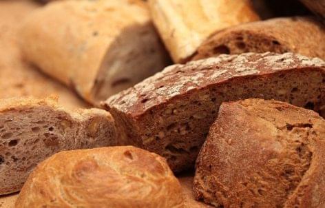 14 ezer éves a világ legrégebbi kenyere