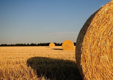 KAVOSZ: már igényelhető az új Agrár Széchenyi Beruházási Hitel PLUSZ