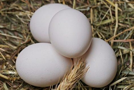 Az éves tojásmennyiség 10-11 százalékát adják el a Húsvét előtti hetekben