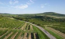 Tízmillió forint összdíjazású pályázatot hirdet Tokaj