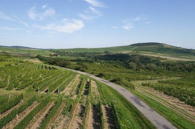 tokaj