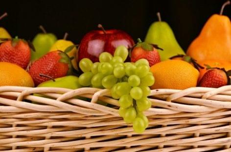 FM: fontos feladat a zöldség- és gyümölcstermesztés fejlesztése