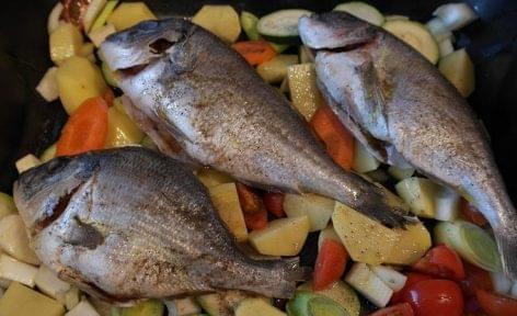 Idén több mint 8 millió forint halvédelmi bírságot szabott ki a Nébih