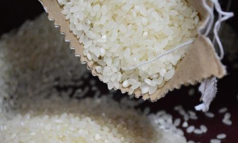 Amerikai cég rizst exportál Kínába