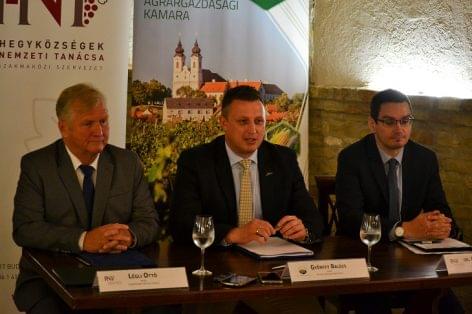 In cooperation for the strenghtening of the Hungarian wine-growing sector