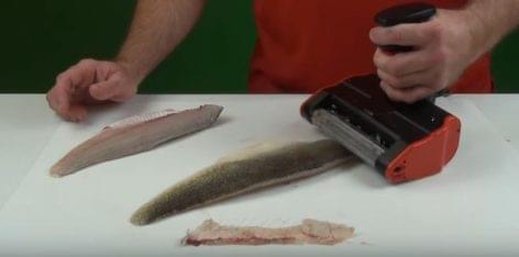A machine changing fish-customs in a big way – Video of the day
