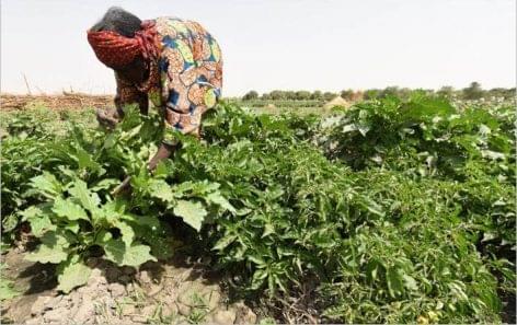Sustainable agriculture can mitigate climate change and involuntary migration