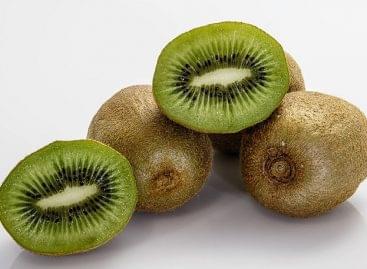 AM: Hungary initiated the support opportunity for kiwi and fruit growing
