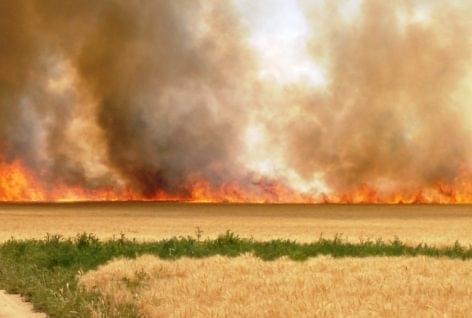 Destructive fires in agriculture
