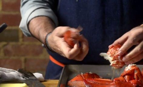 If you still don’t know what to put together for dinner – Video of the day