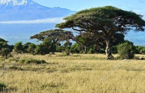 Több száz millió hektár vár Afrikában a földművelésre