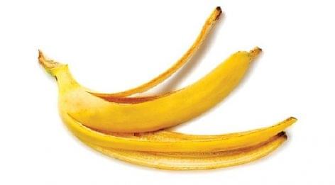 Banana skins and other fruit waste could be used as biogas in Nigeria