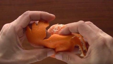 A csodálatos mandarin – A nap videója