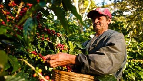 Nespresso, farmers and sustainability