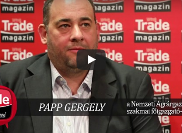 Business Days 2017 interview – Papp Gergely