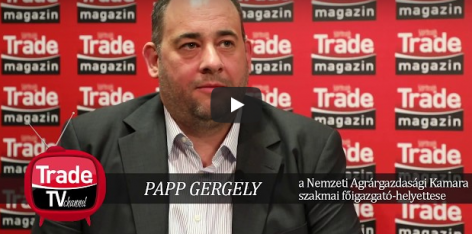 Business Days 2017 interview – Papp Gergely