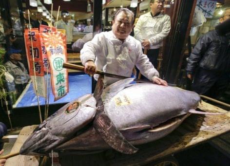 Sushi lesz a 82 millió forintos halból