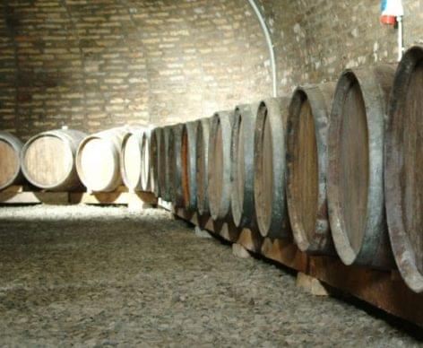 Borvirág Wine Club – Szekszárd-based Sebestyén Winery introduces itself