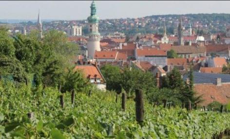 Borvirág Wineclub – Töltl Winery from Sopron introduces itself
