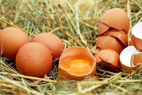 Magazine: Egg import helped
