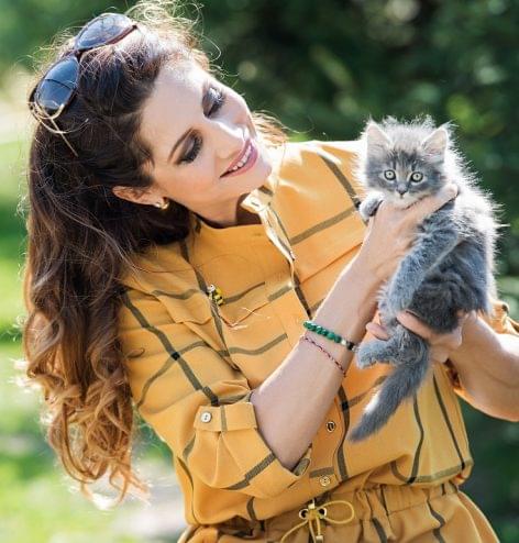 Stars joined for the happiness of cats