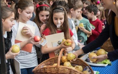 Háromezerötszáz iskolás ismerkedett az egészséges táplálkozás alapjaival