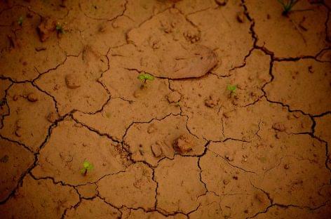 Drought prediction system to be launched soon