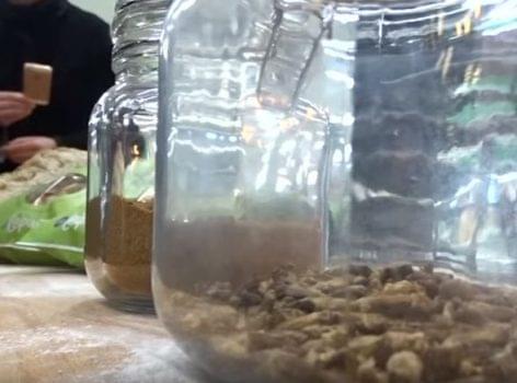 A finnish bakery making insect-based bread – Video of the day