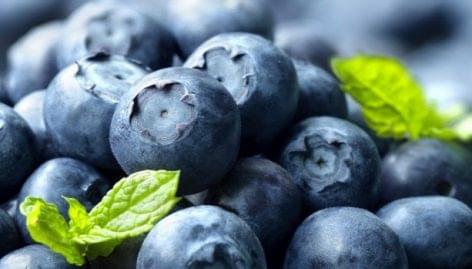 Blueberries are more and more popular
