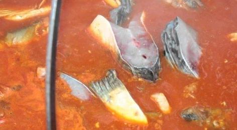 Fish soup to be made from ten tons of fish during the weekend at the Baja Fishing Festival