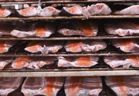 Hadcraft smoked salmon – Video of the day