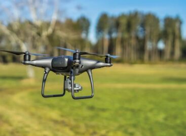 Drone detection of grapes infected with golden yellows begins