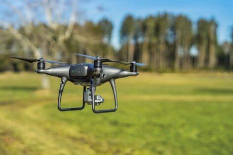 Drone detection of grapes infected with golden yellows begins
