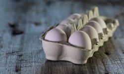 Hogyan tároljuk a tojást? – Hasznos tanácsok a Nébih-től