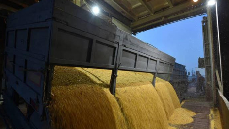 FAO: Alacsonyabb élelmiszerárak októberben