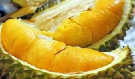 Imádják a kínaiak a szagos duriánt