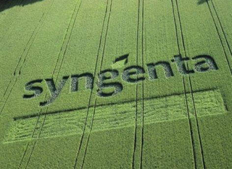 Syngenta: We are helping farmers and fighting climate change together