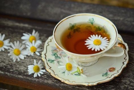 Herbal teas help to prevent catching a cold and can be used to treat the symptoms