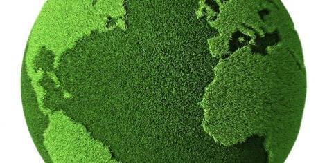 Magyar Biokultúra Szövetség: az ökológiai gazdálkodás és a bio üzemanyag-termelés szöges ellentétben állnak