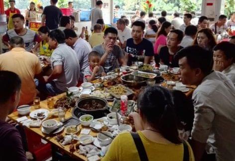 Hús, hal, hüllő, avagy a kínai konyha „elméleti” alapjai