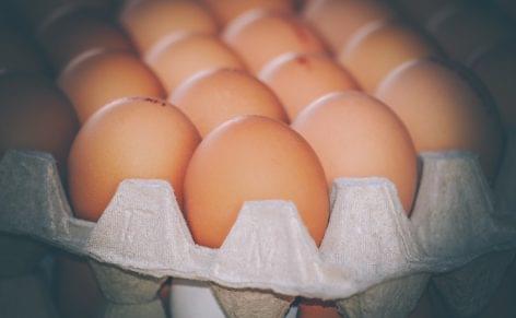 Csökkent az importunk, nőtt az exportunk tojásból