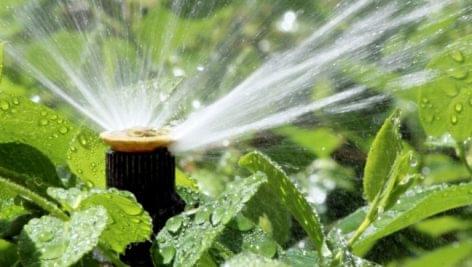 FruitVeB calls to start the irrigation season sooner