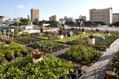 Lidl Italia Opens Store With ‘Urban Garden’ In Turin