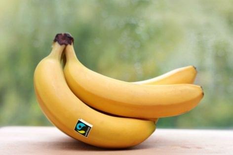 Lidl Németország: még több fair trade banánt a polcokra!