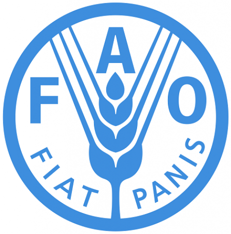 FAO: Tovább csökkentek a terményárak