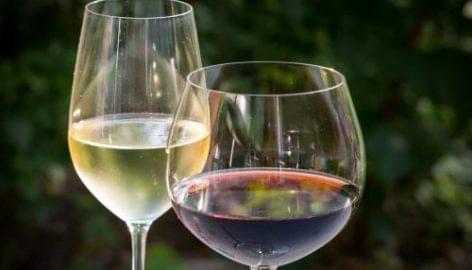 Agrárminiszter: oltalom alatt álló eredetmegjelölést kaphatnak a Sümeg környéki borok