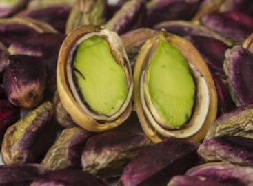 Pisztáciaboom a világban – sok helyen kedvenc snack lesz