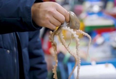 Egy igazán autentikus ázsiai halpiac a 21. században – A nap videója