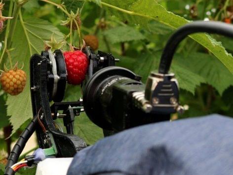 Raspberry Picking Robot