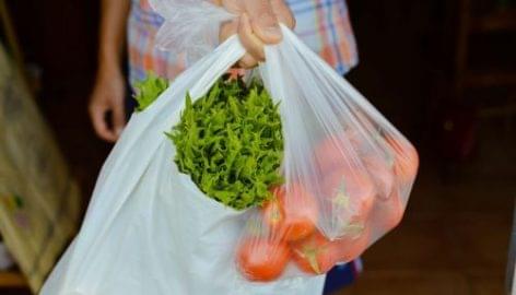 Lidl, Auchan Offer Alternatives To Plastic Bags In Portugal